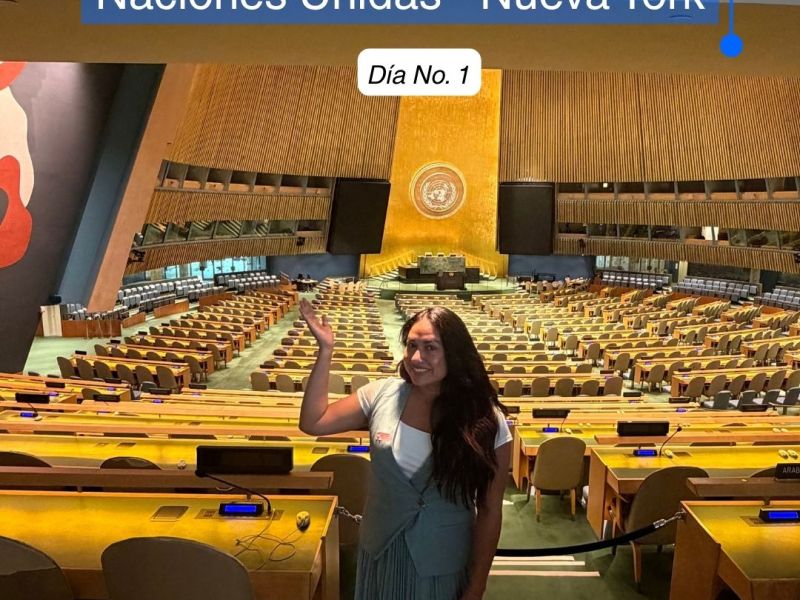 ¿Cómo estudiar en las Naciones Unidas en Nueva York? Mi experiencia con UNITAR&nbsp;🇺🇳